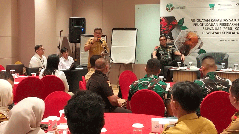 Ambon Pintu Keluar Masuk Komoditas Ilegal, Wali Kota Minta Satgas PPTSL Kerja Kolaborasi