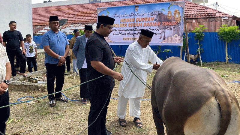 Polres SBT Serahkan 9 Hewan Kurban